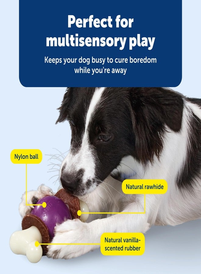 بيت سيف عظمة بيت سيف بيزي بادي النطاطة - لعبة تغذية بطيئة قابلة للتعديل 3 في 1 مع حلقات مكافآت قابلة لإعادة التعبئة - تنظف الأسنان واللثة، وتعالج الملل، وتبطئ عادات الأكل - متوسطة - للكلاب من 25 إلى 50 رطلاً - Image 4